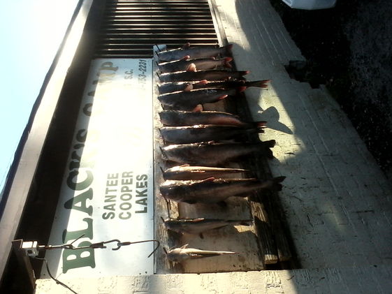 Winter Fishing-Bill Salmon's Professional Fishing Guide Service
